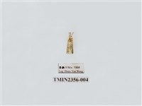 藏品(雙角窗鉤蛾)的圖片